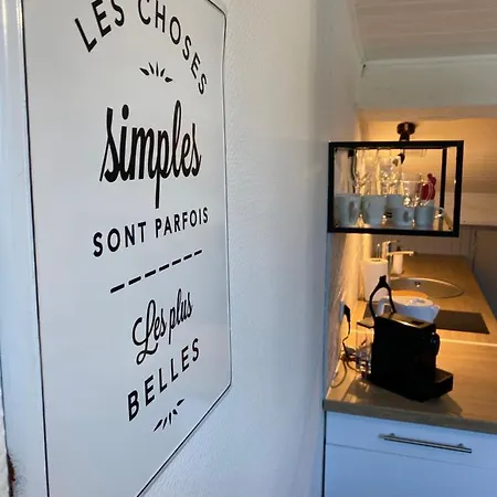 Les Cosy De Nancy - Le Nid Douillet - 4* Apartment Exterior photo
