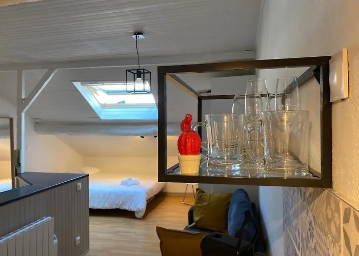 Les Cosy De Nancy - Le Nid Douillet - 4*