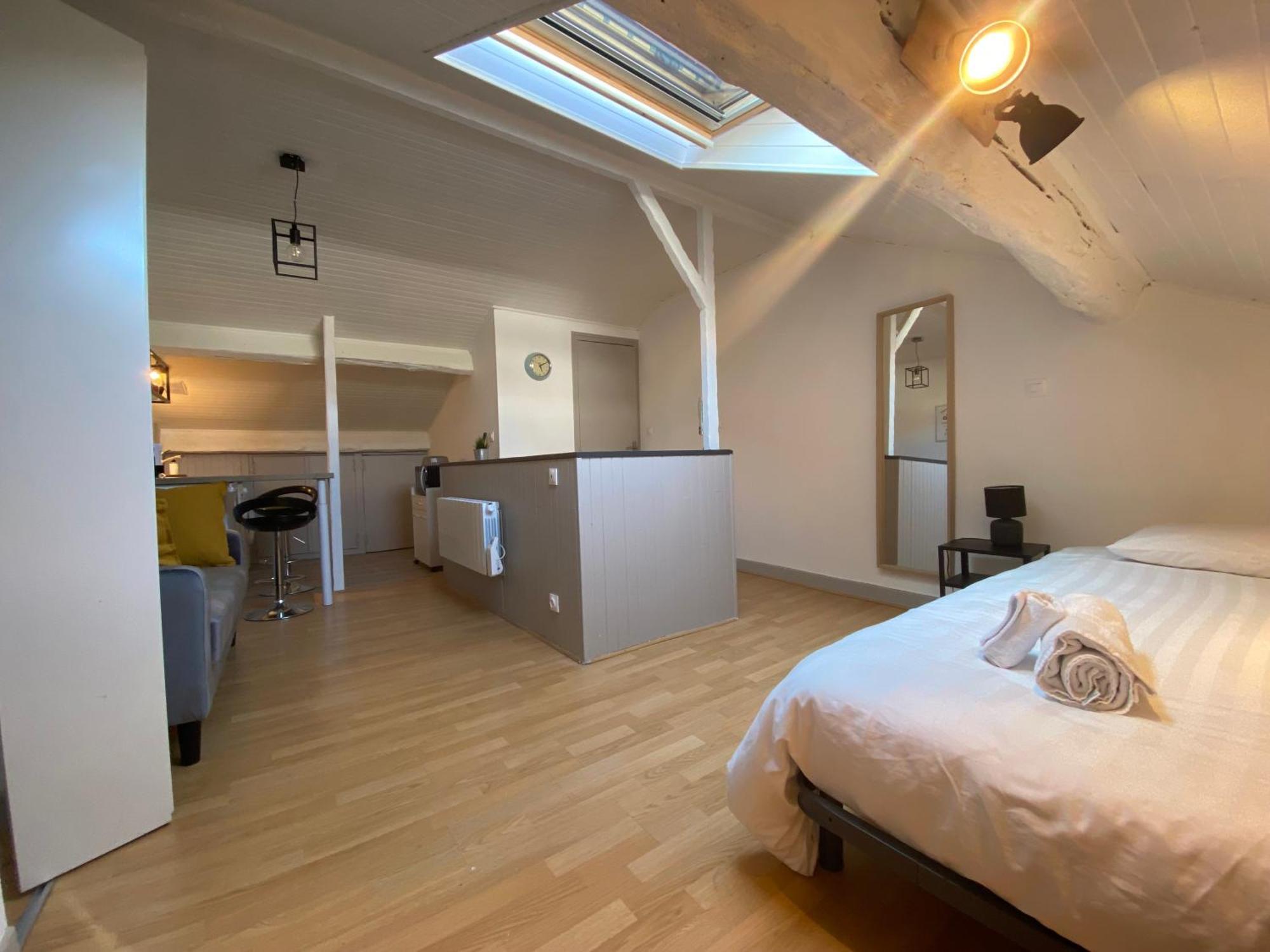 Les Cosy De - Le Nid Douillet - 4* Apartment Nancy